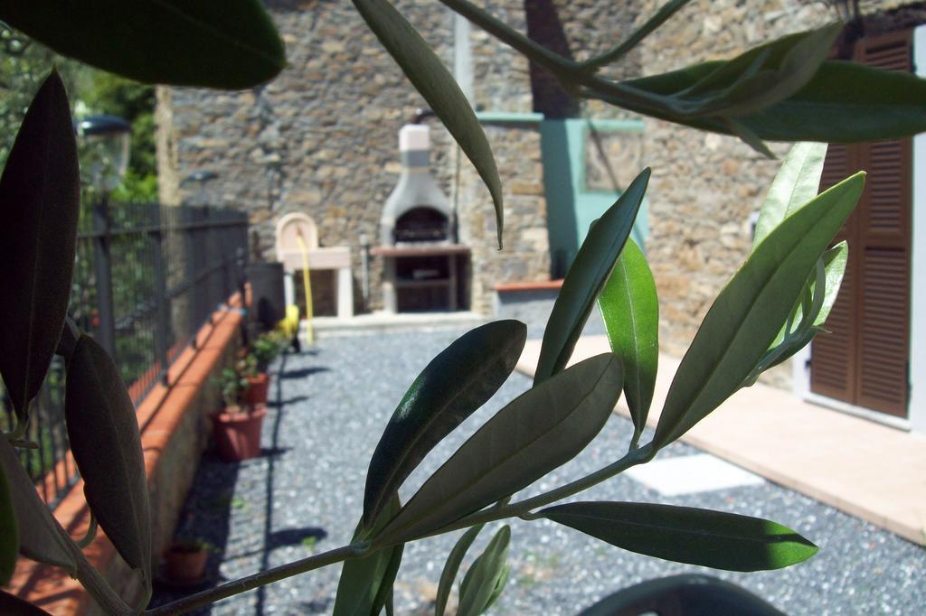 Villa Il Nido Delle Rondini à Testico Extérieur photo