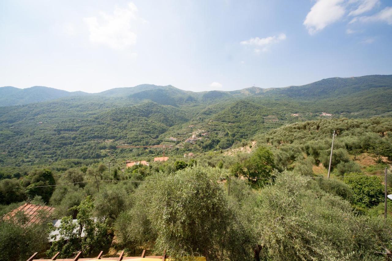 Villa Il Nido Delle Rondini à Testico Extérieur photo